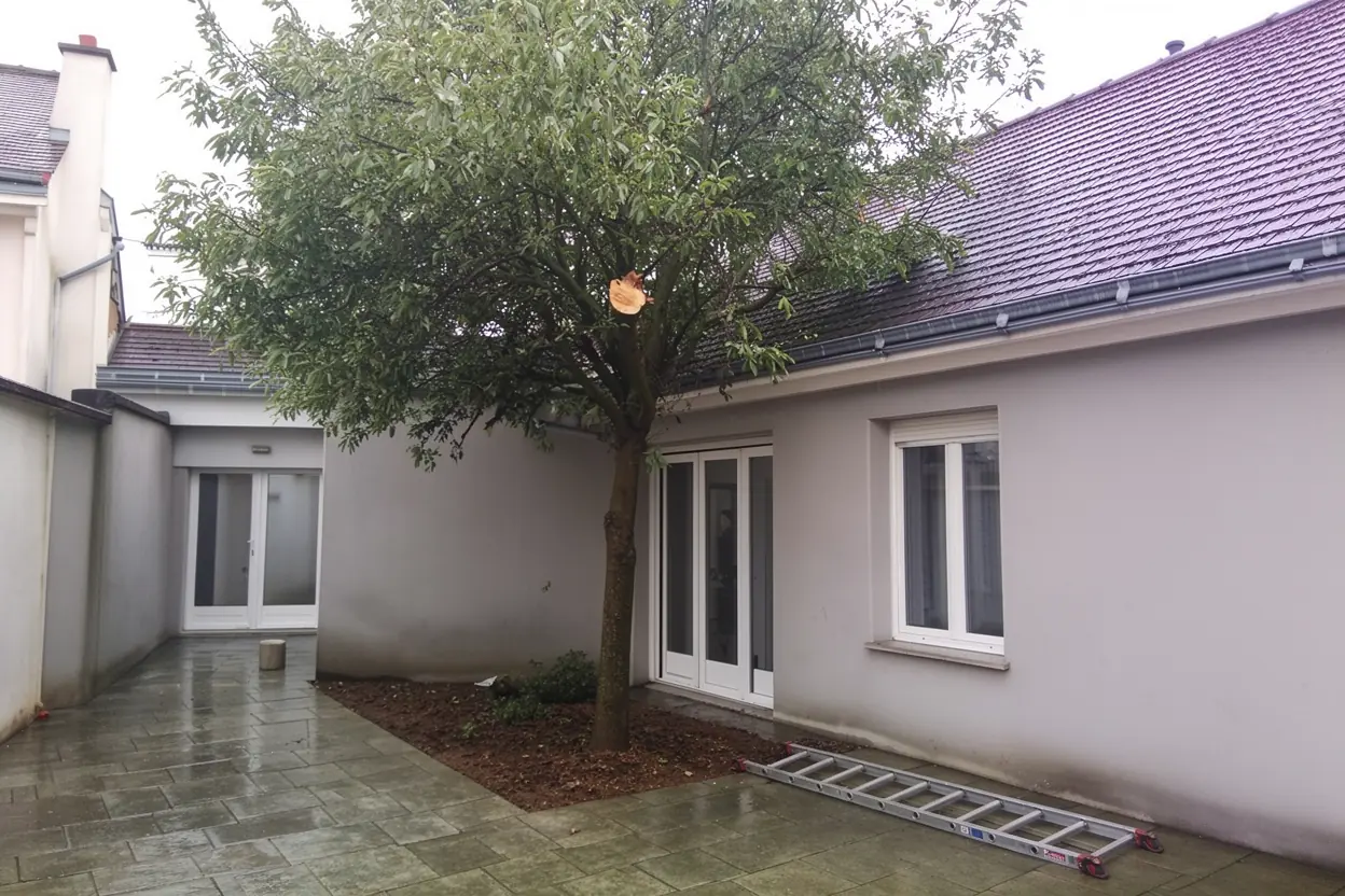 Cour dégagée après retrait de la branche cassée à Nancy
