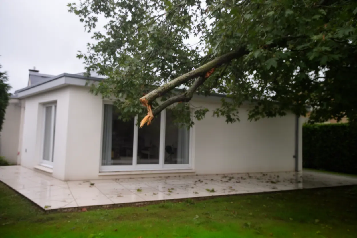Branche cassée au-dessus d’une terrasse à Vandœuvre-lès-Nancy