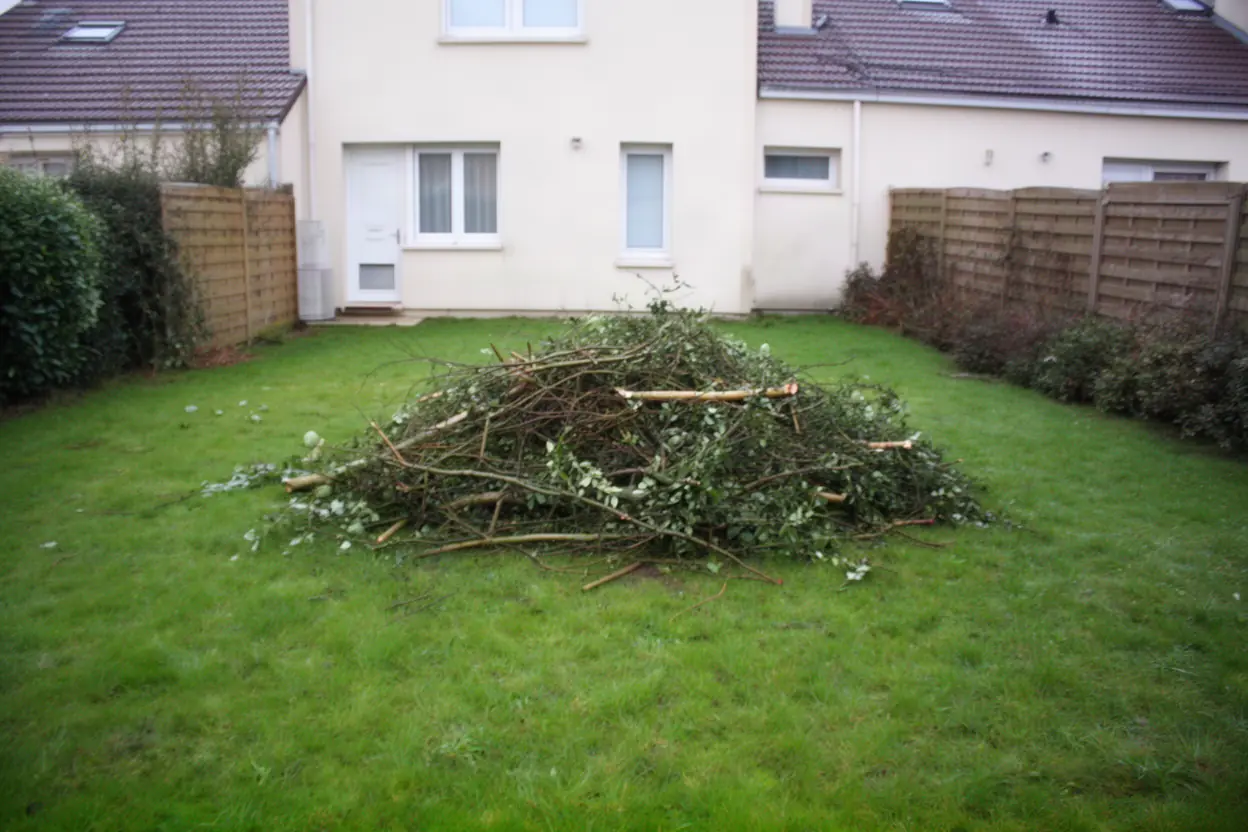 Tas de branches sur une pelouse avant ramassage à Malzéville